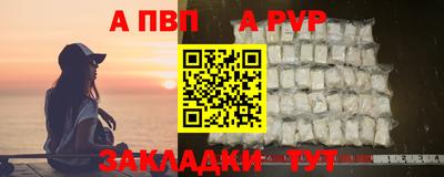 твердый Кингисепп