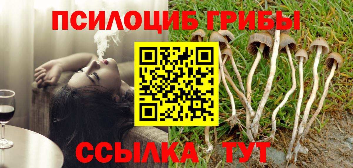 Ярославль  Галлюциногенные грибы прущие грибы  Псилоцибиновые грибы GOLDEN TEACHER  Вход с VPN 