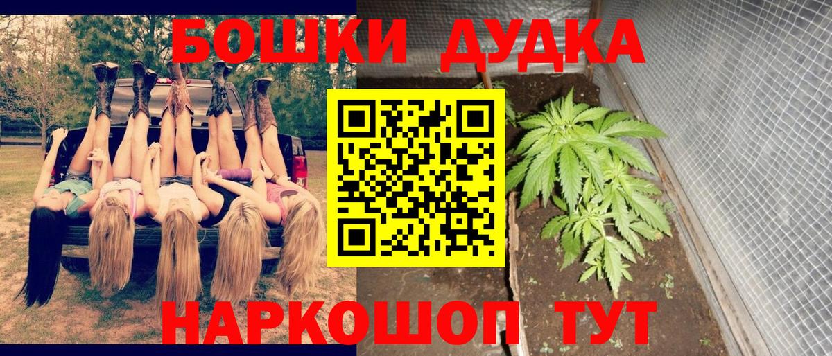 Ярославль  Канабис планчик  МАРИХУАНА Bruce Banner  Вход с VPN  Бошки марихуана THC 21% 